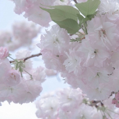 定兴FurryQQ群介绍